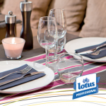Lotus Professionnel lance mix n’match