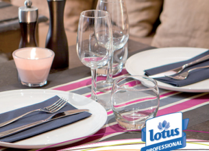 Lotus Professionnel lance mix n’match