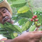 Nestlé Professional Le Nescafé Plan suit son cours