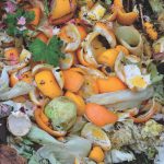 Donnez une seconde vie à vos biodechets !