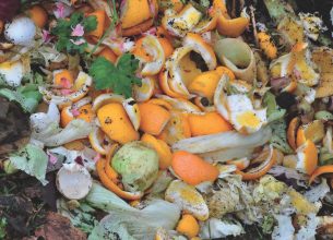 Donnez une seconde vie à vos biodechets !