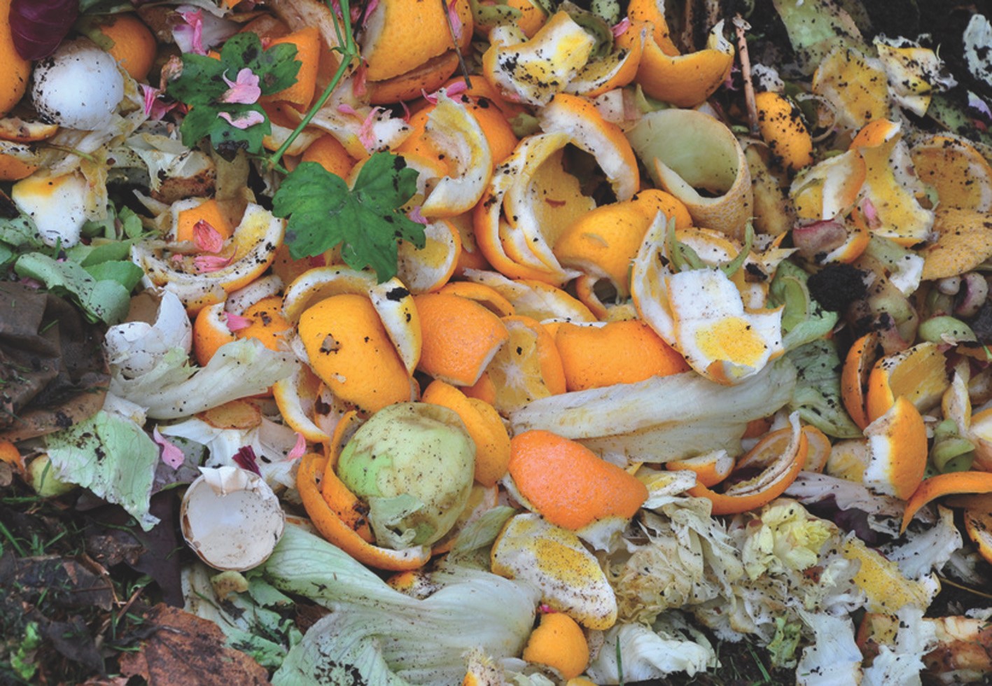 Donnez une seconde vie à vos biodechets !