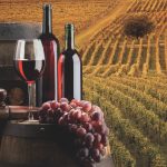 Bio ? Nature ?  Le vin dans tous ses états…