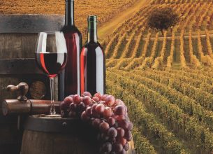 Bio ? Nature ?  Le vin dans tous ses états…