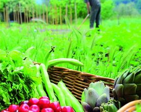 Utopies, réalités et avenir…