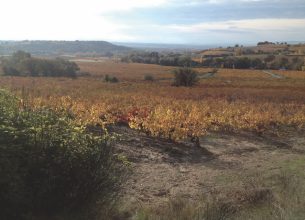 Développement touristique au pays du Diamant Noir