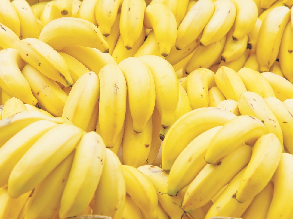 Différence entre une allergie et une intolérance alimentaire