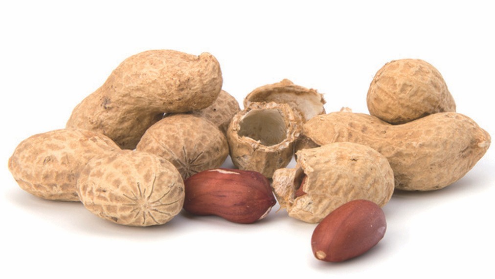 L’allergie à l’arachide