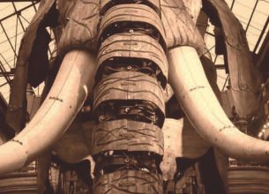 Le service en salle fait aussi des surdoués !