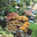 Restaurants et producteurs se mettent au mouvement « locavore »