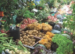 Restaurants et producteurs se mettent au mouvement « locavore »