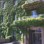 Une affaire familiale vivant au gré des flots