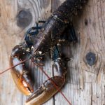 Les produits de la mer, trésor à préserver