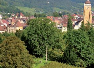 L’Umih 90 et l’Umih Franche-Comté sont nées !