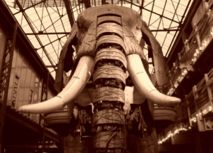 Concours Mémoire d’Eléphant au salon Serbotel