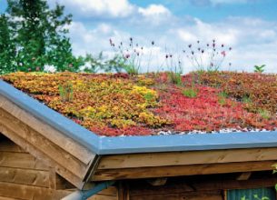 Développement durable