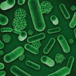 La chasse aux risques microbiens
