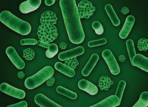 La chasse aux risques microbiens