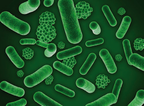 La chasse aux risques microbiens
