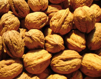 Allergènes : l’information des consommateurs applicable à la restauration au 1er juillet