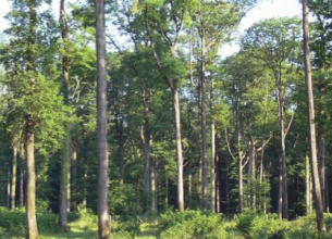 Plus d&rsquo;un quart des Français prévoit de partir en vacances ce printemps