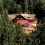 Un havre de paix dans la forêt vosgienne