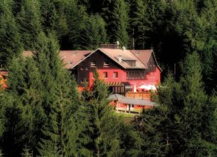 Un havre de paix dans la forêt vosgienne