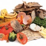 Développement durable : valorisation des biodéchets dans le secteur de la restauration