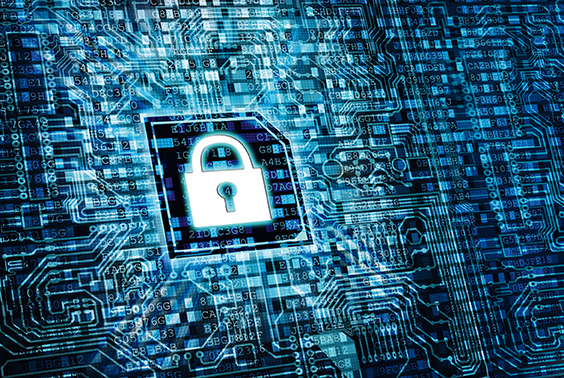 La protection des données personnelles