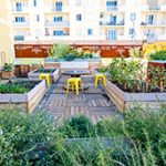 Focus sur quelques concepts urbains