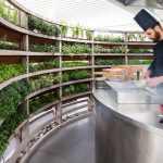 AccorHotels développe les potagers urbains