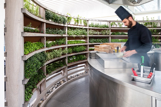 AccorHotels développe les potagers urbains