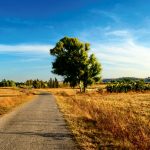 Comment gagner en attractivité en milieu rural ?