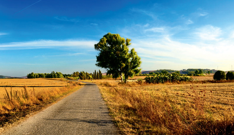 Comment gagner en attractivité en milieu rural ?