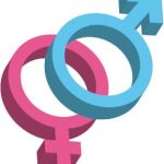 Élection du CSE : candidatures et parité femmes/hommes