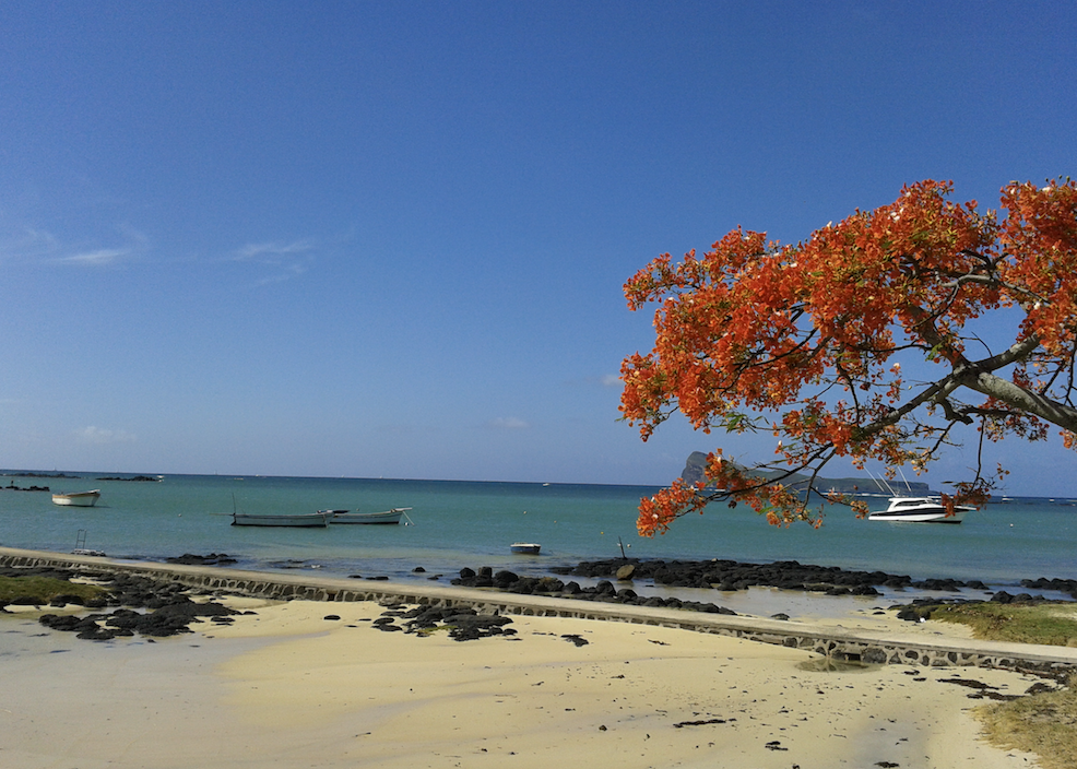 Saison estivale : encore une année contrastée pour les industries hôtelières