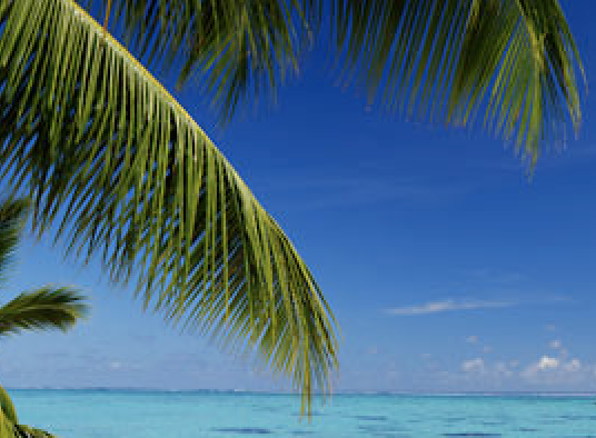 Faillite du voyagiste Thomas Cook : les importantes répercussions