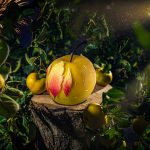 Bûches 2020 : gourmandise et créativité à l’honneur