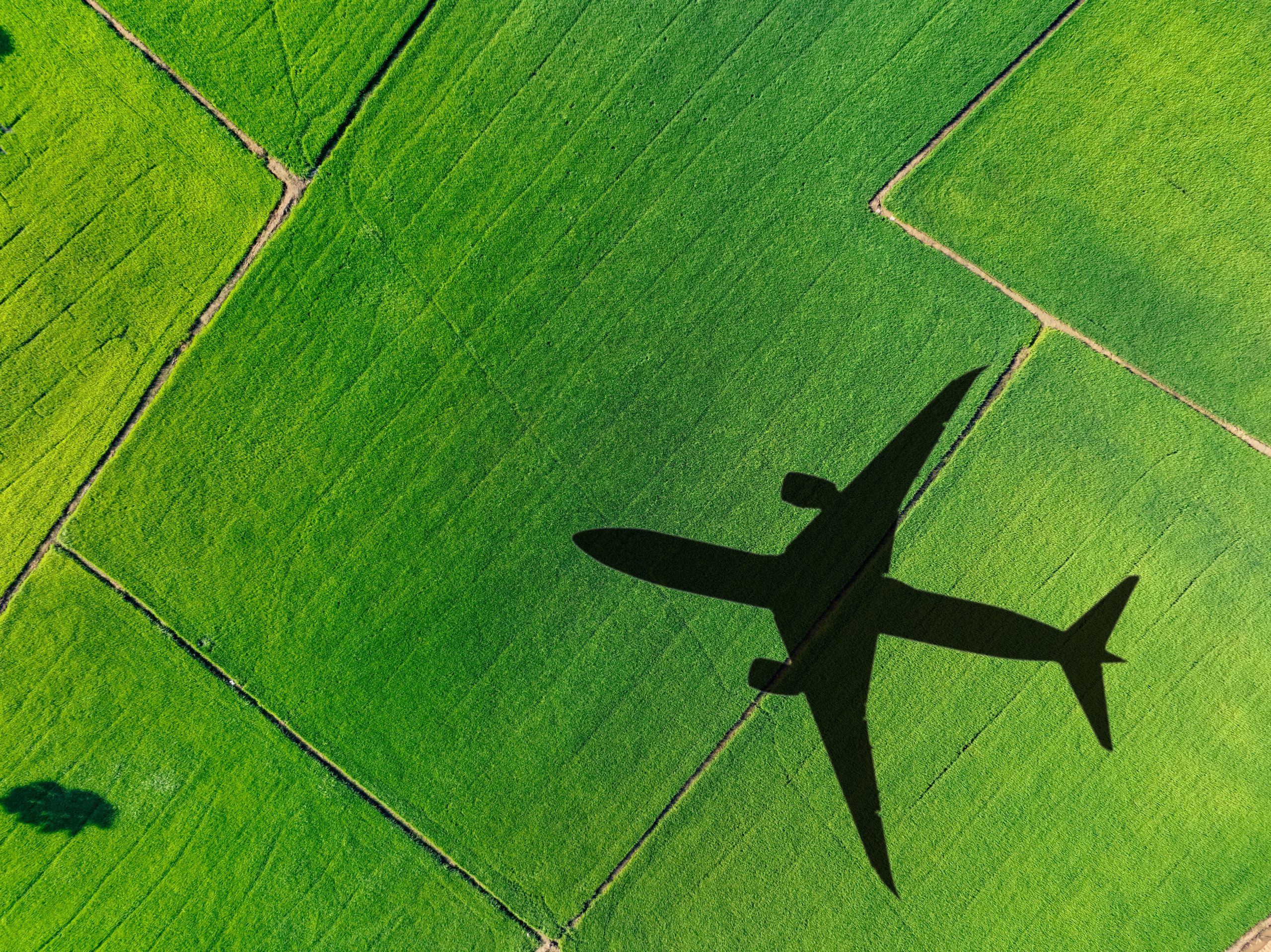 FairMoove s’engage davantage pour le tourisme durable
