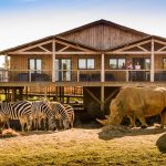 Réouverture des lodges du Zoo de La Boissière-du-Doré