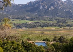 Le Hameau de Saparale, nouvel écrin corse