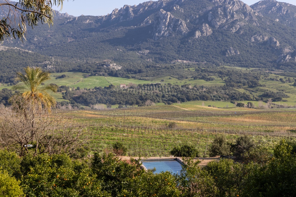 Le Hameau de Saparale, nouvel écrin corse