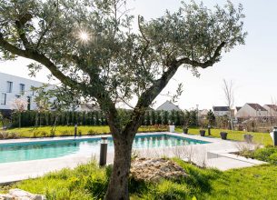 L’Hôtel Dali Val d’Europe, nouvel établissement Hilton