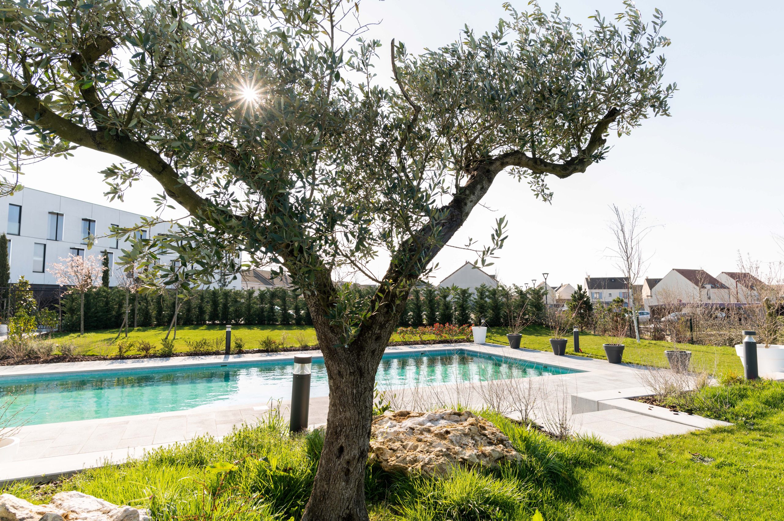 L’Hôtel Dali Val d’Europe, nouvel établissement Hilton