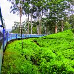 Vacances Bleues 2026 : voyager autrement, entre découverte, bien-être et conscience