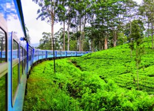 Vacances Bleues 2026 : voyager autrement, entre découverte, bien-être et conscience