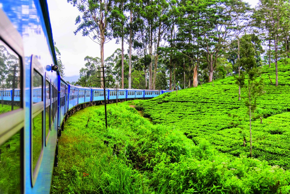 Vacances Bleues 2026 : voyager autrement, entre découverte, bien-être et conscience