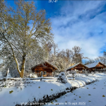 Pitchup révèle les tendances du tourisme de plein air et les perspectives 2026