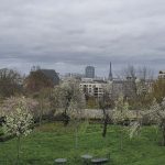 2. Créer et développer un jardin potager