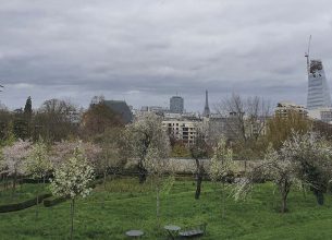 2. Créer et développer un jardin potager